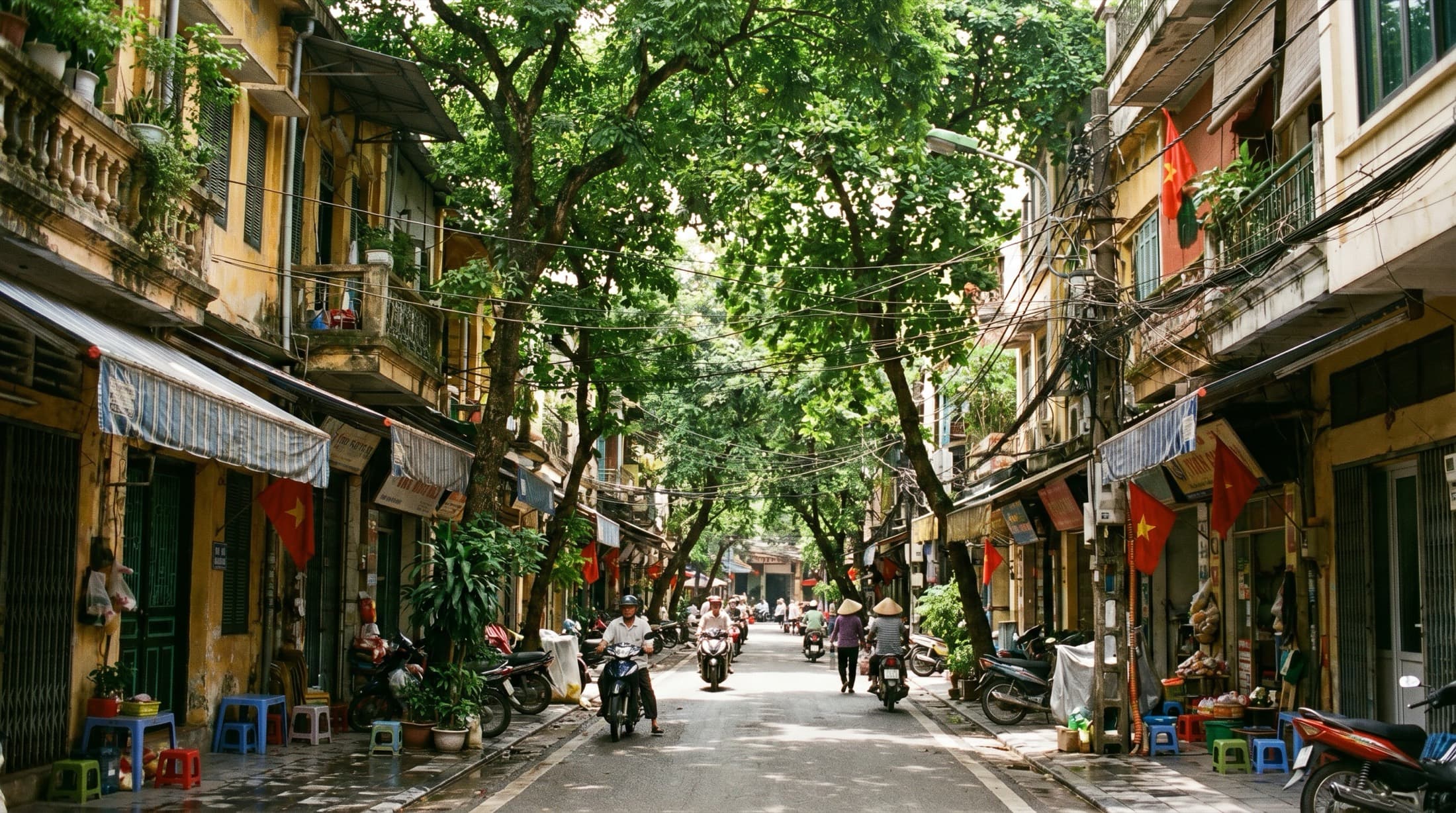 A tree-lined Hanoi Old Quarter street, lived-in and green